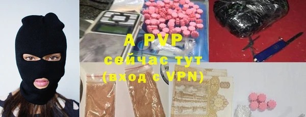 ГАЛЛЮЦИНОГЕННЫЕ ГРИБЫ Абаза