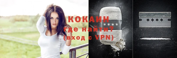 ГАЛЛЮЦИНОГЕННЫЕ ГРИБЫ Абаза