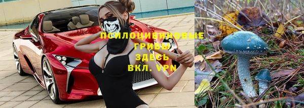 спиды Алексин