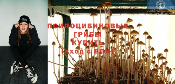 спиды Алексин
